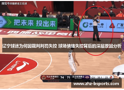 辽宁球迷为何因裁判判罚失控 球场情绪失控背后的深层原因分析