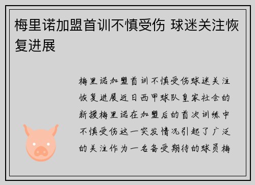 梅里诺加盟首训不慎受伤 球迷关注恢复进展 梅里诺加盟首训不慎受伤 球迷关注恢复进展